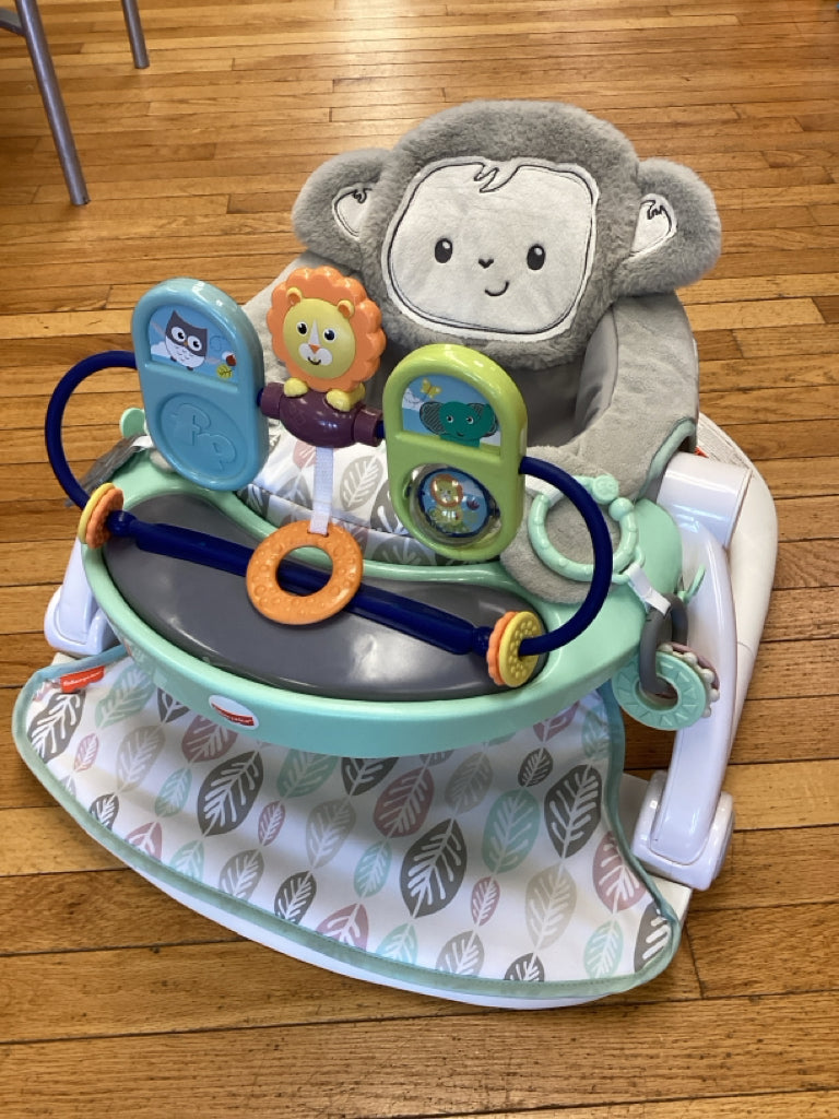Fisher Price SnugaMonkey Sit Me Up Floor Seat
