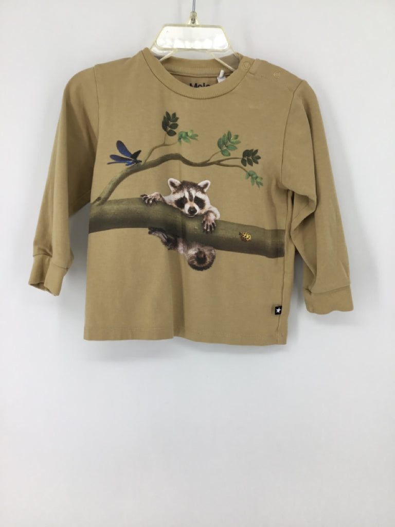 Molo Child Size 12-18 Months Tan screen printed T-shirt - boys