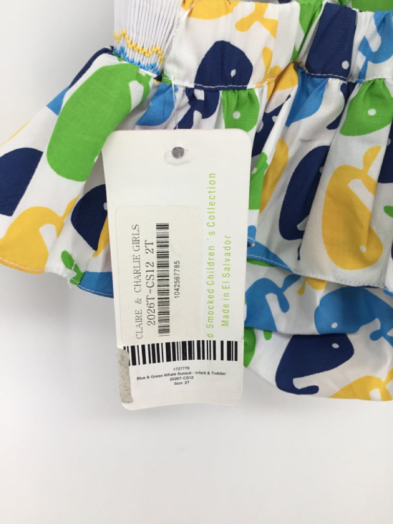 Claire & Charlie Child Size 2 Multi-Color Outfit - girls