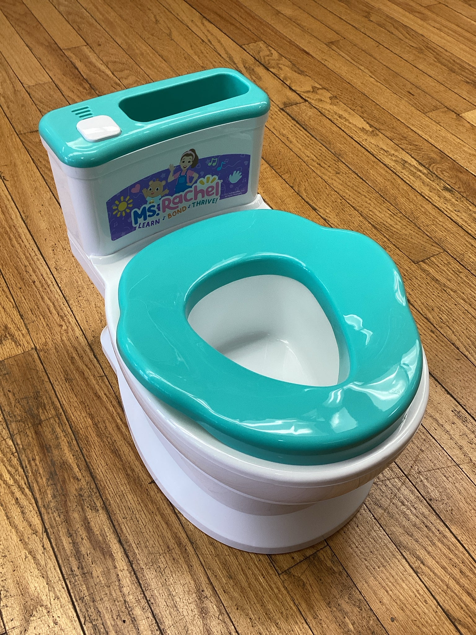 Ms. Rachel Playtime Floor Potty Trainer System