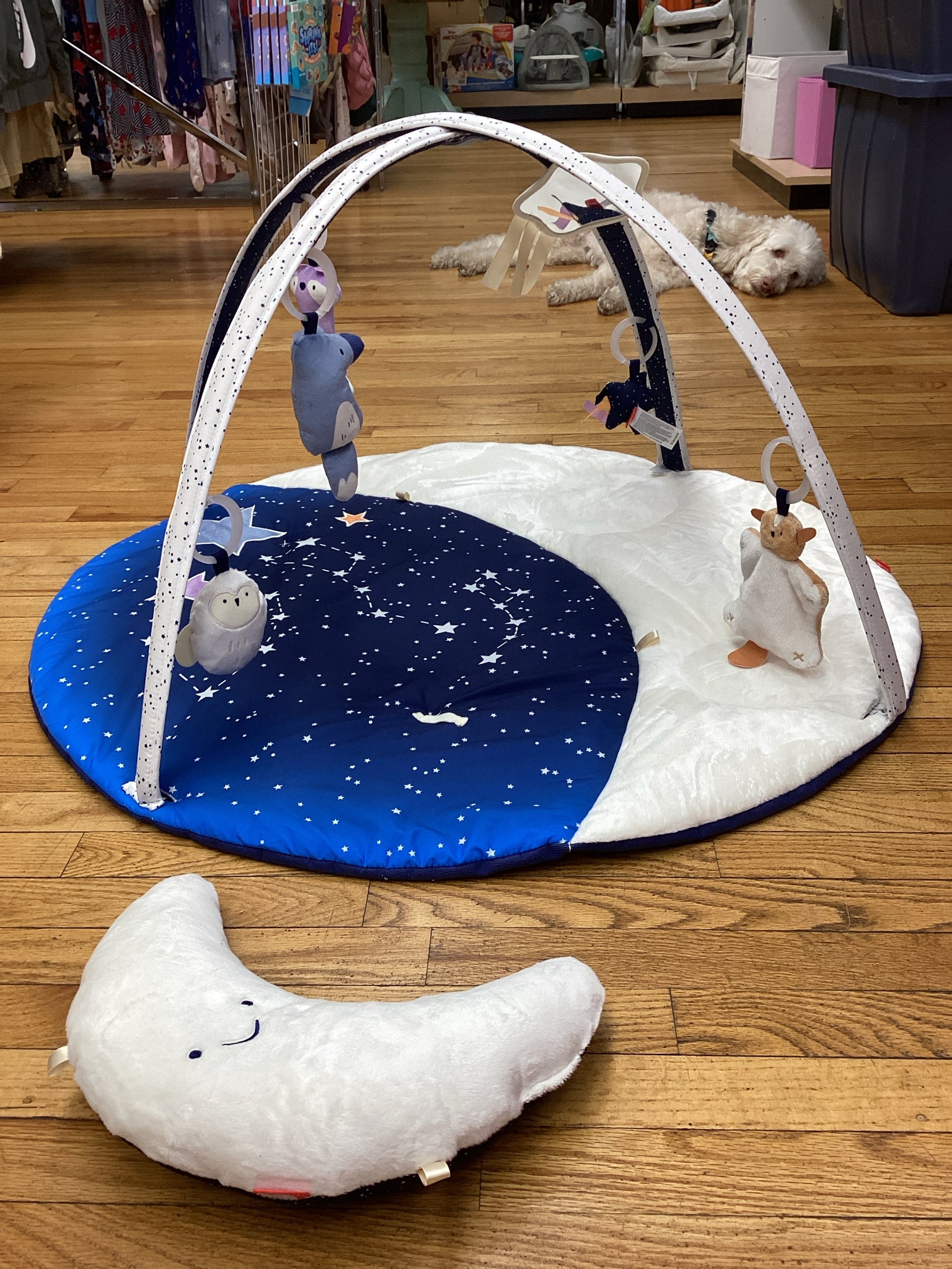 Skip Hop Celestial Dreams Activity Gym