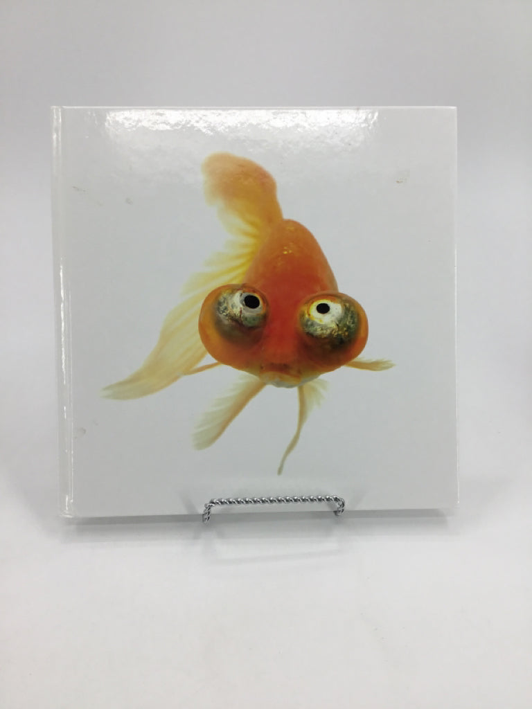 National Geographic Celebrating our Wild World in Poetry and Pictures Hardback