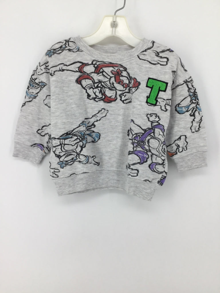 nickelodeon Child Size 2 Gray Character Sweatshirt - boys