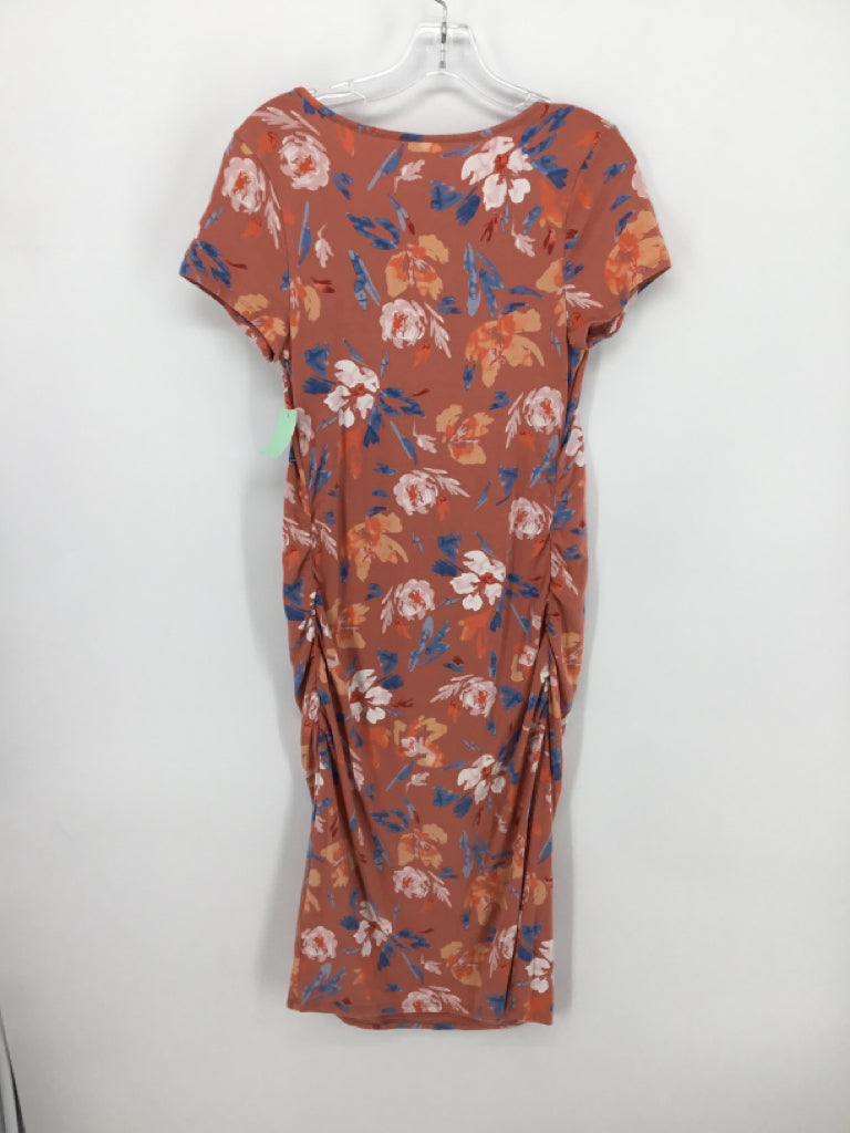 isabel Maternity Size M Cotton Blend Dress - Maternity