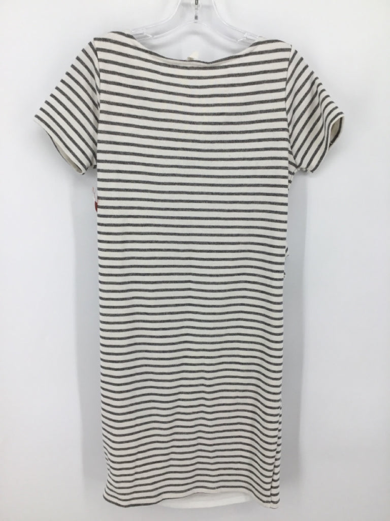 Pink Blush Size M Cotton Blend Dress - Maternity