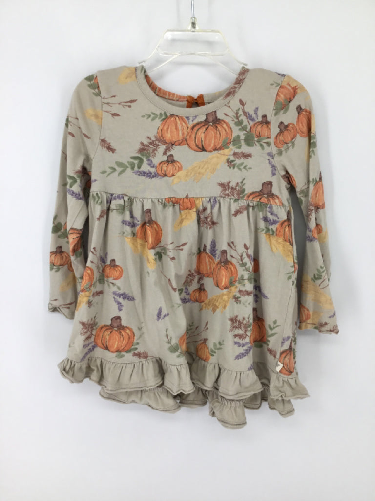 Burt's Bees Baby Child Size 24 Months Tan Halloween Dress