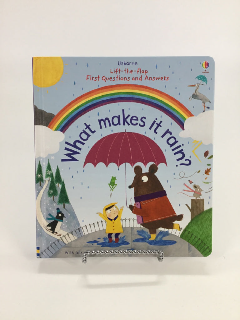 Usborne What makes it rain? Board Book