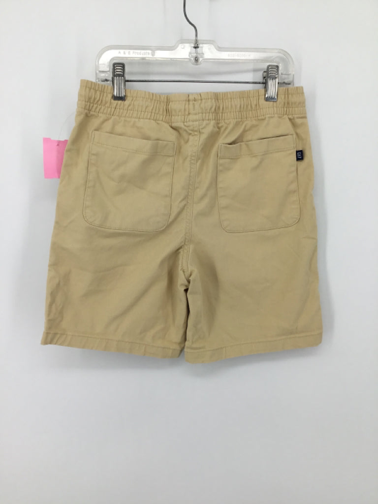 Gap Kids Child Size 10 Tan Solid Shorts - boys