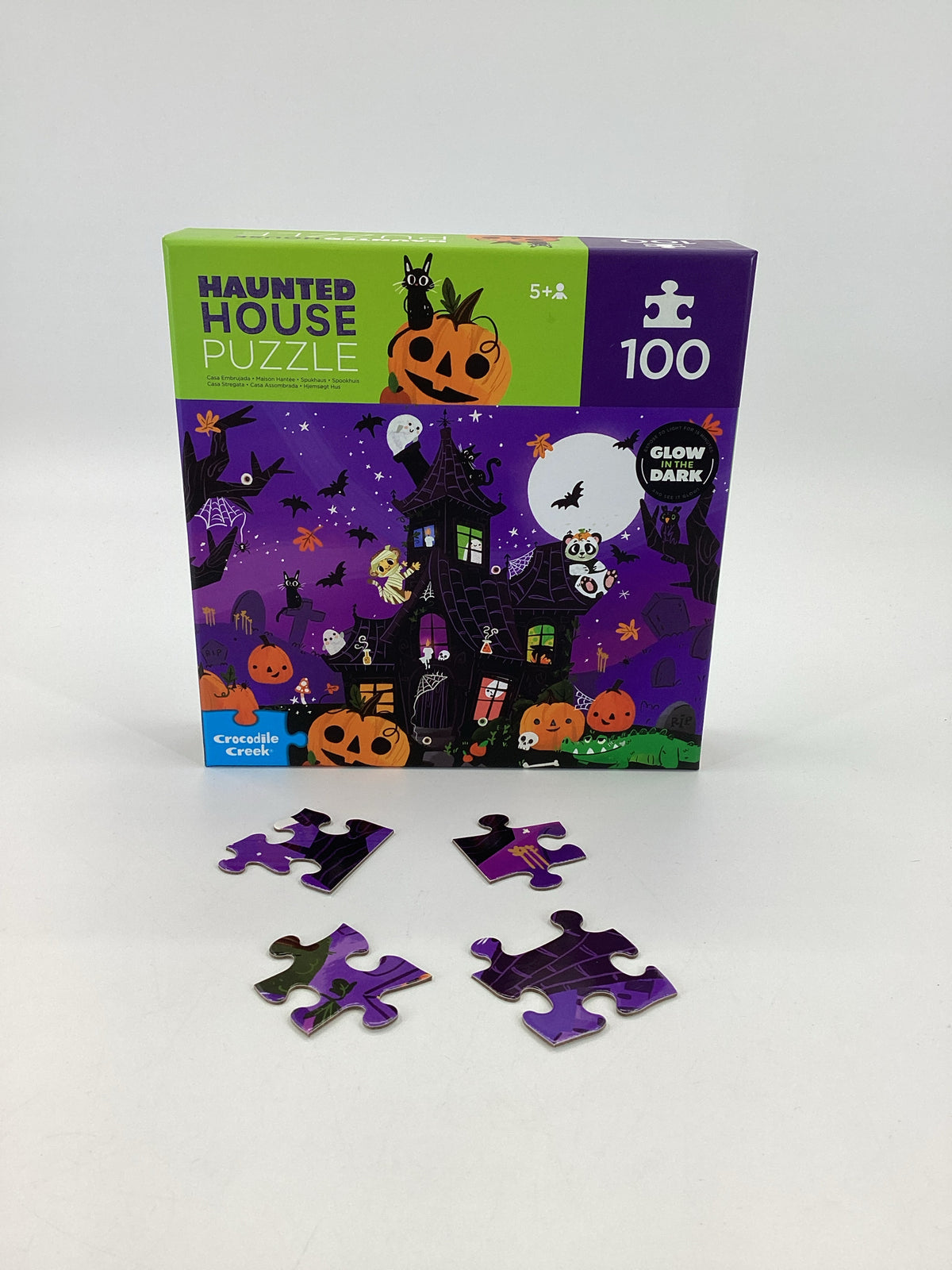 Crocodile Creek Haunted House Halloween Puzzle