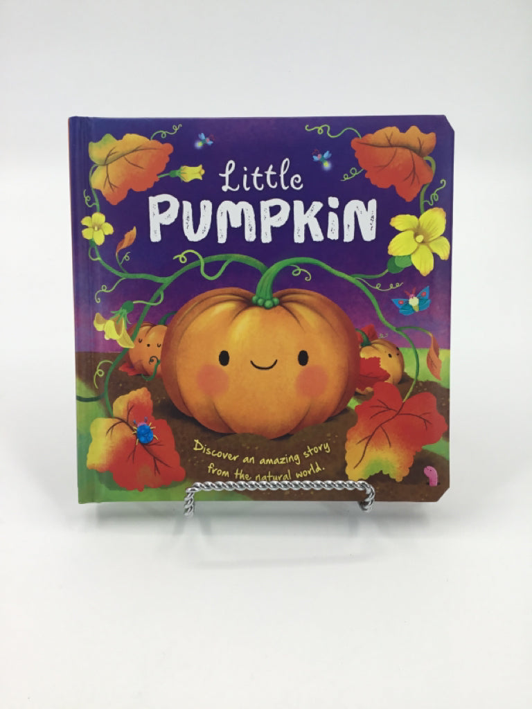 Little Pumpkin Board Book