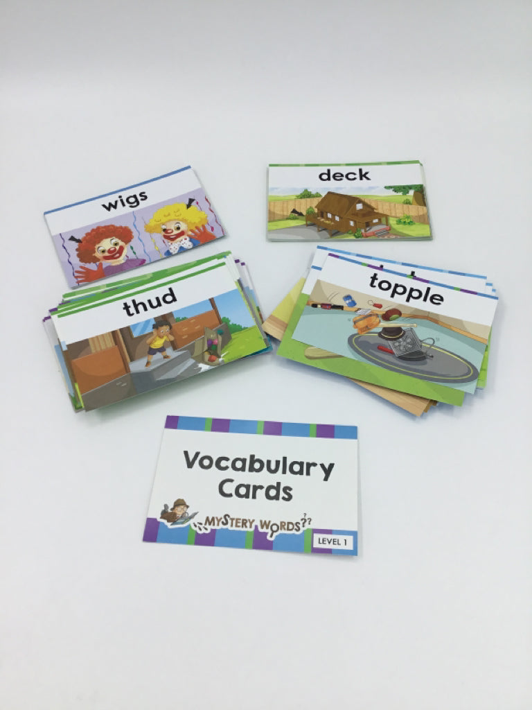 Mystery Words Vocabulary Cards - Level 1