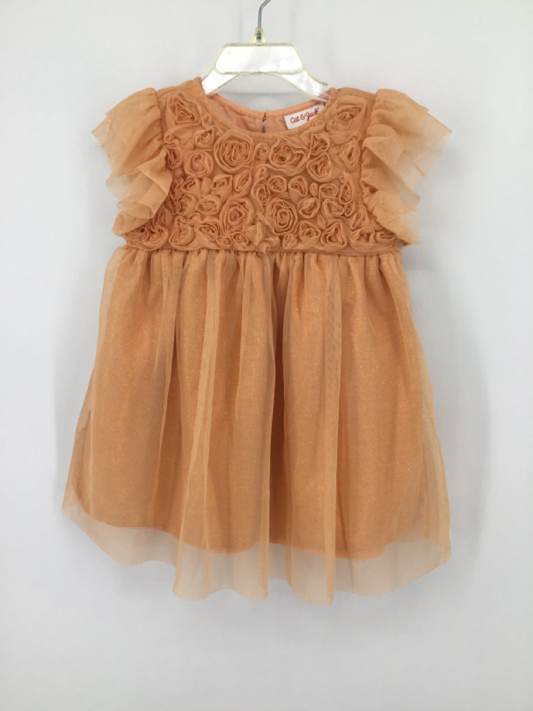 Cat & Jack Child Size 2 Peach Dress - girls