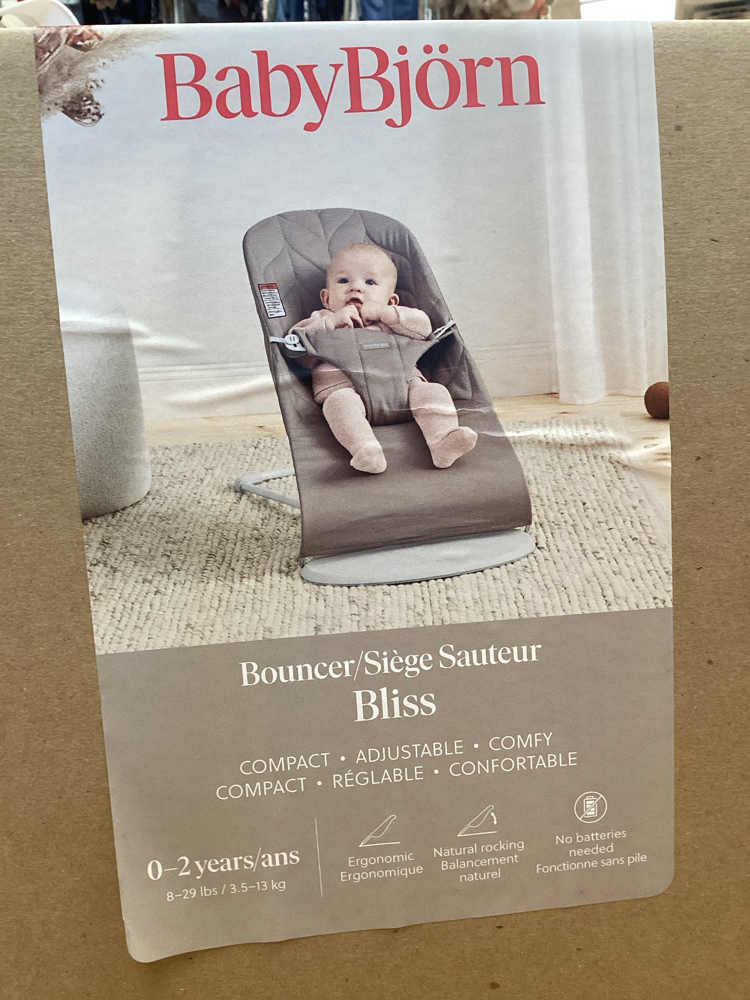 Baby Bjorn Gray Bouncer