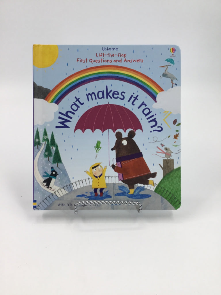 What Makes it Rain? Board Book