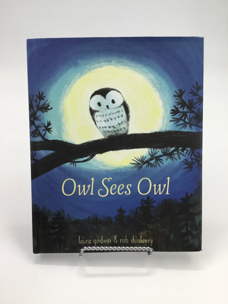 Owl Sees Owl Hardback Book