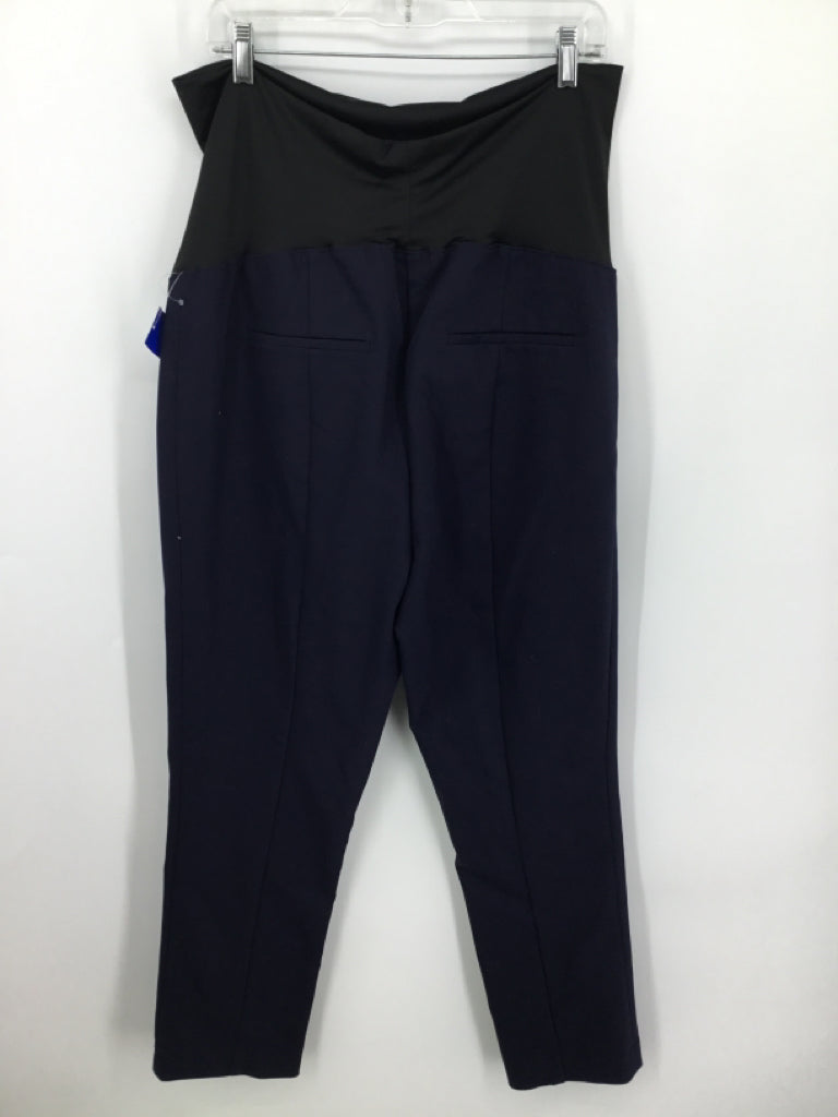 LOFT Size XL Poly Blend Pants