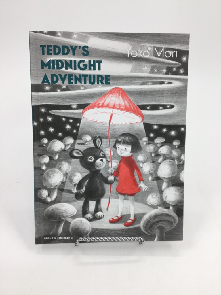 Teddy's Midnight Adventure Hardback Book