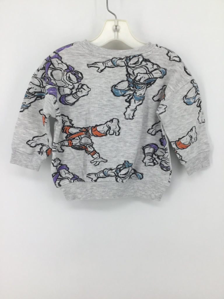 nickelodeon Child Size 2 Gray Character Sweatshirt - boys