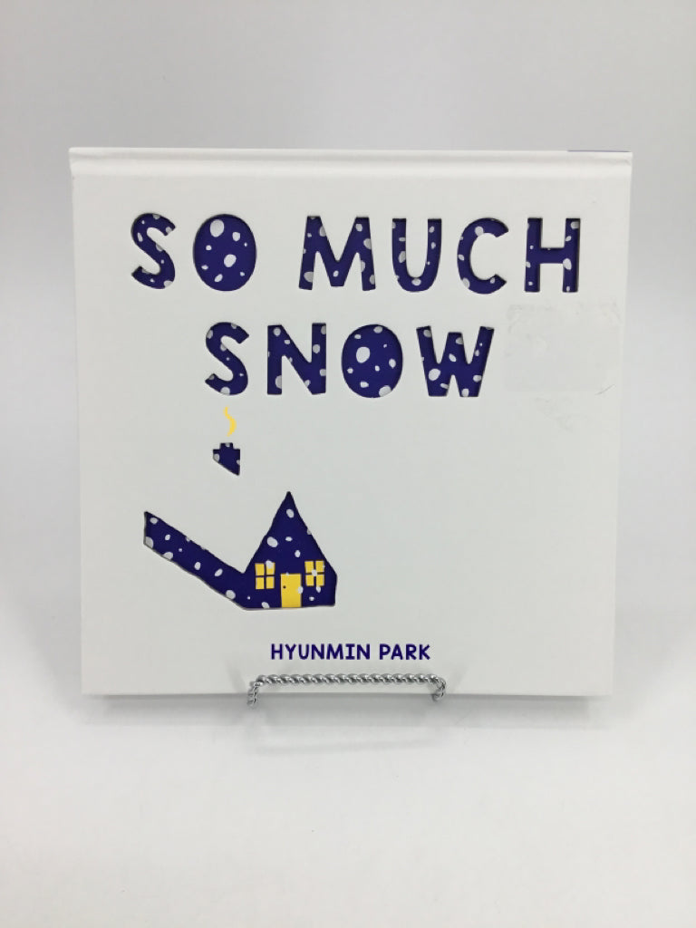 So Much Snow Hardback Book