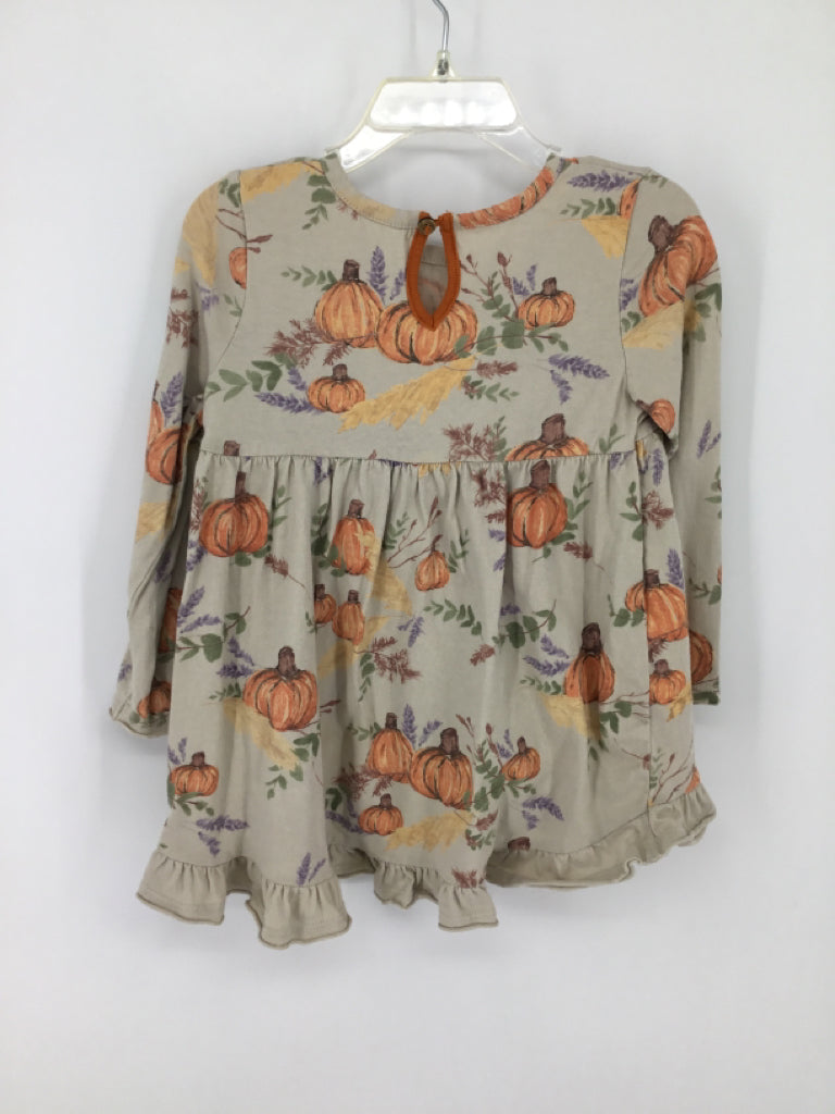 Burt's Bees Baby Child Size 24 Months Tan Halloween Dress